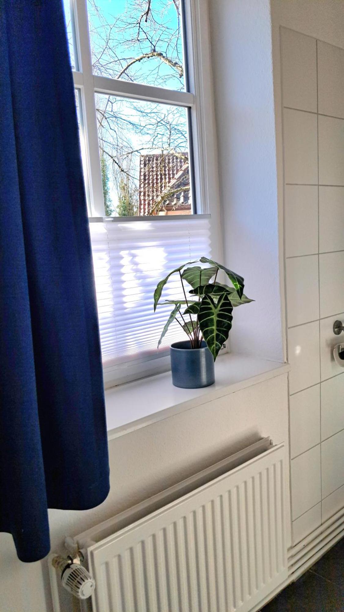Apartment Brauner Hirsch Celle Luaran gambar